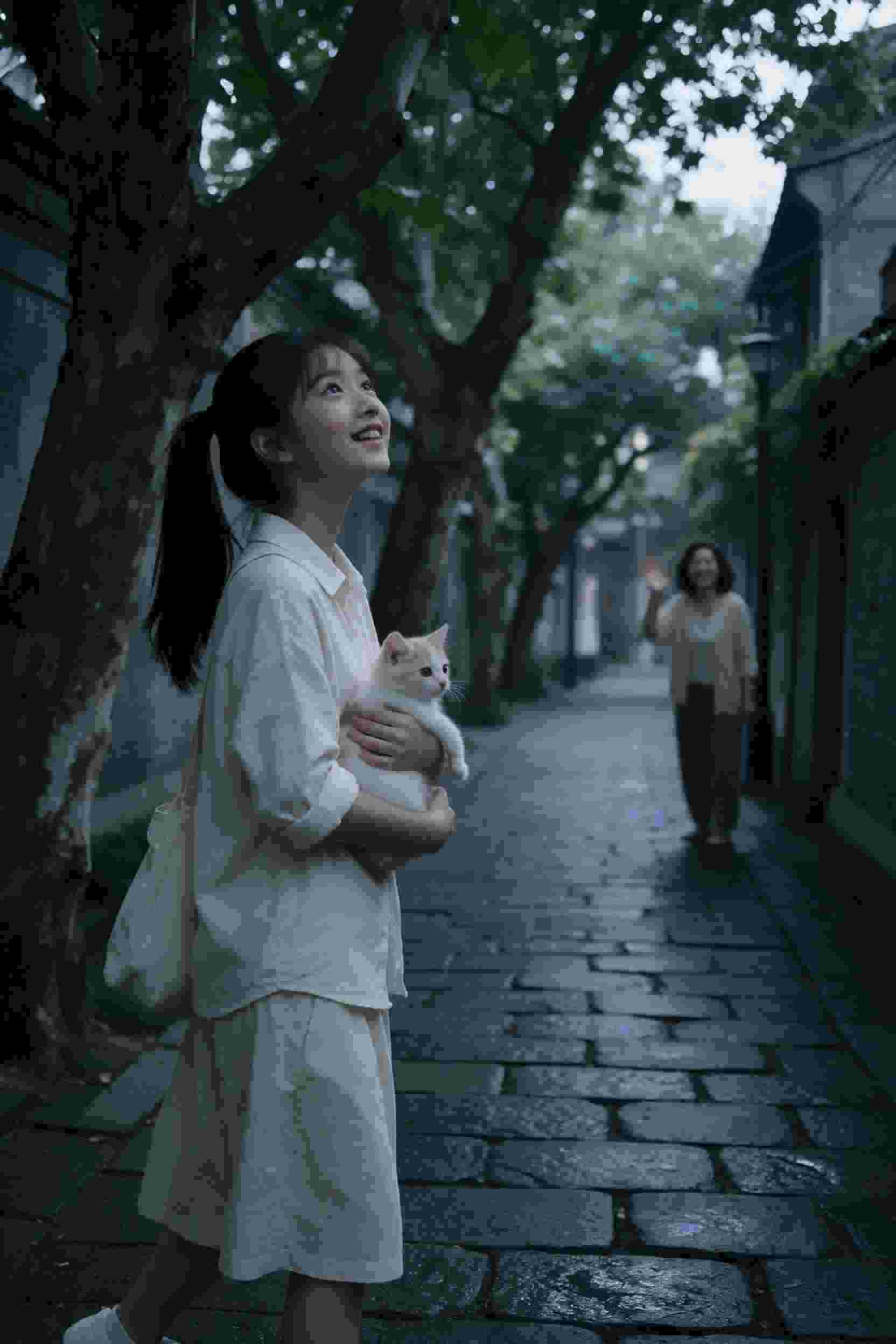 剧集